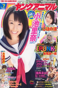 叶问 电视剧
