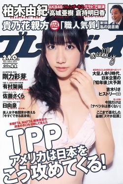 贴片广告