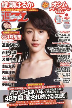 醉拥江山美男